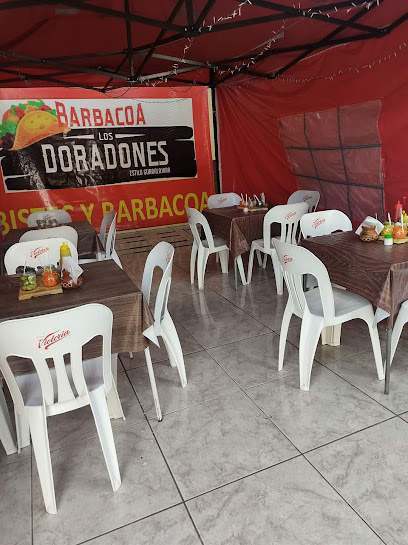 BARBACOA 'LOS DORADONES'