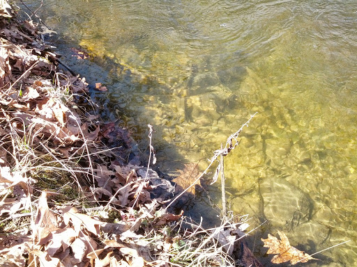 Nature Preserve «Leonard Preserve», reviews and photos, N Union St, Manchester, MI 48158, USA