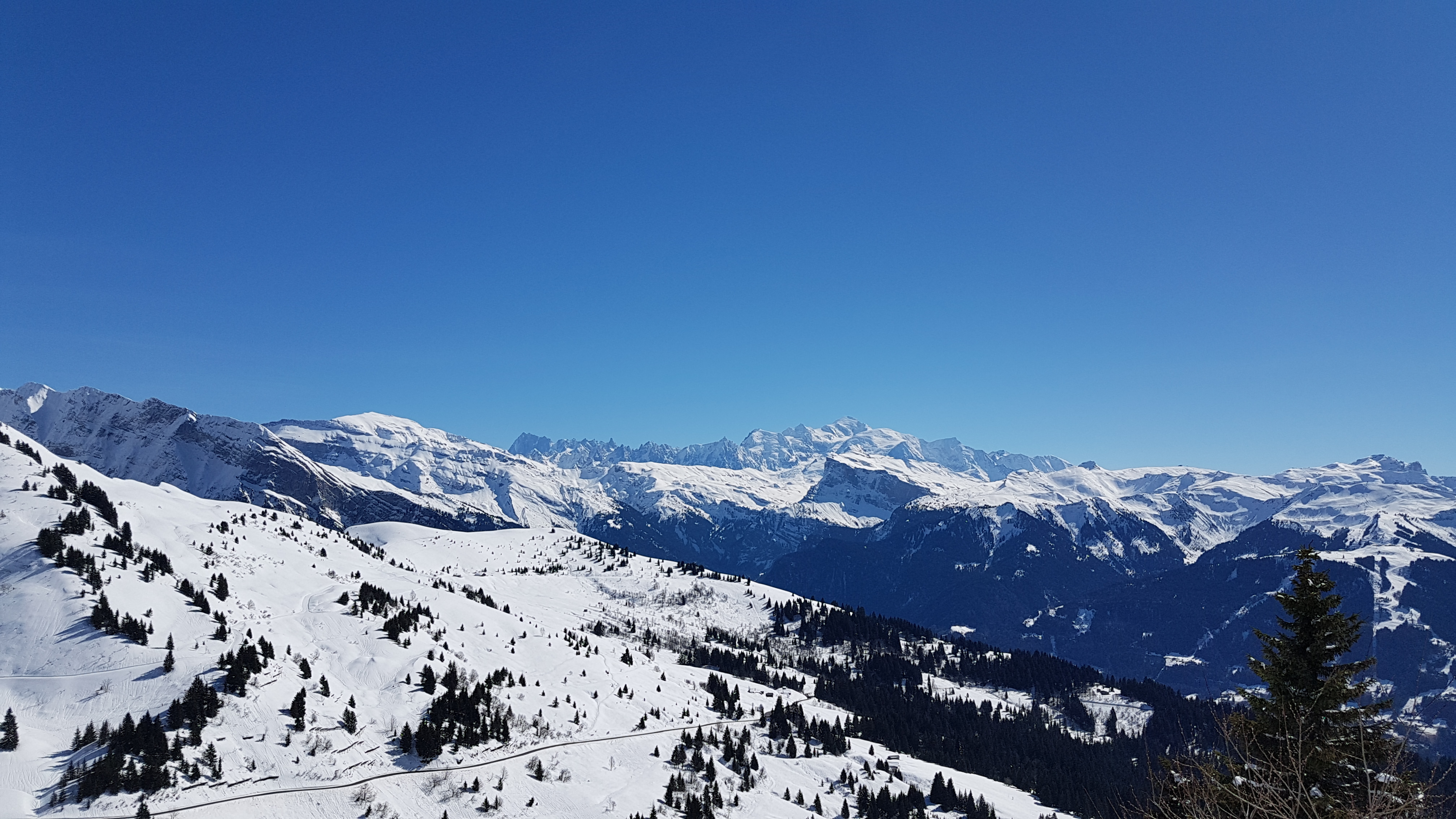 Photo n° 1 de l'avis de Muriel.e fait le 22/03/2019 à 12:26