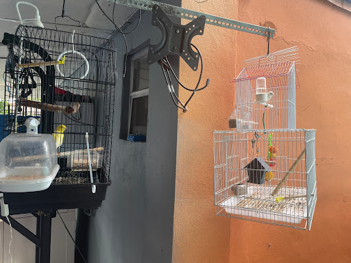 Pet Store «El Palomar Pet Shop Inc», reviews and photos, 4712 W Flagler St, Coral Gables, FL 33134, USA