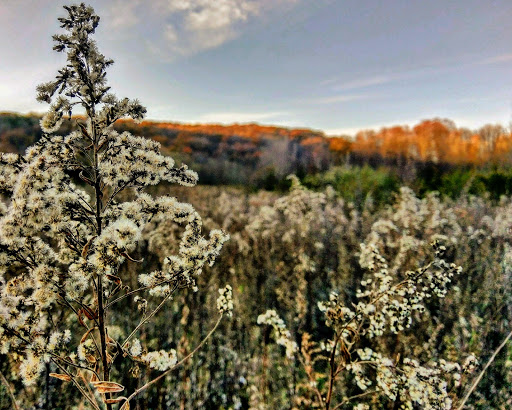 Tourist Attraction «Dover Stone Church», reviews and photos, 3128 NY-22, Dover Plains, NY 12522, USA