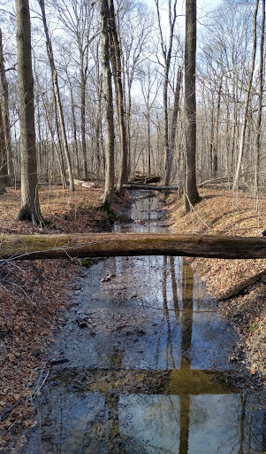 Nature Preserve «Meltzer Woods», reviews and photos, 1522 S 600 E, Shelbyville, IN 46176, USA