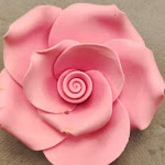 Photo n°1 de l'avis de Monica.a fait le 09/07/2023 à 15:42 sur le  Porcaloca à Turin