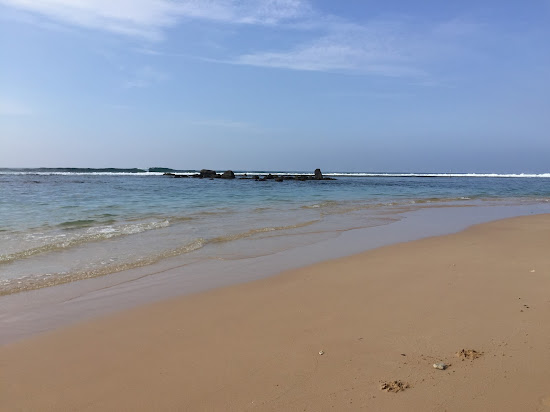 Vine Beach