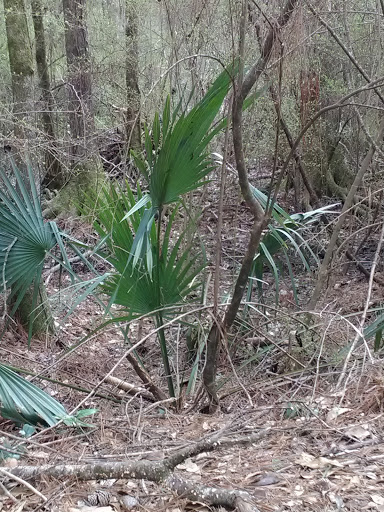 Public Golf Course «Lagoon Park Golf Course», reviews and photos, 2855 Lagoon Park Dr, Montgomery, AL 36109, USA