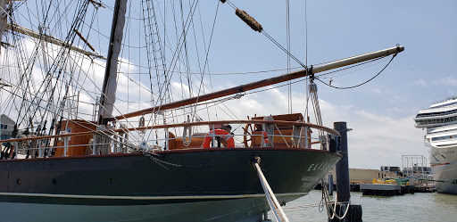Museum «Texas Seaport Museum», reviews and photos, 2100 Harborside Dr, Galveston, TX 77550, USA