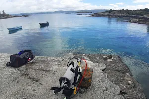 Kenmare Bay Diving image