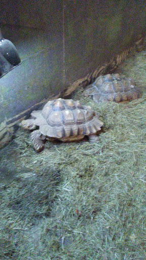 Pet Store «World Wide Pets», reviews and photos, 1307 Fayetteville Rd, Van Buren, AR 72956, USA