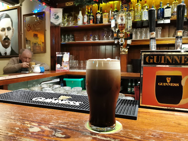 Reviews of The Crane Bar in Galway - Pub