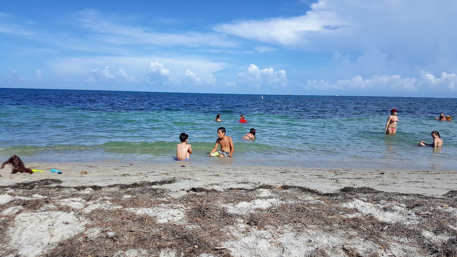 Φωτογραφία του Cape Florida beach με επίπεδο καθαριότητας εν μέρει καθαρό