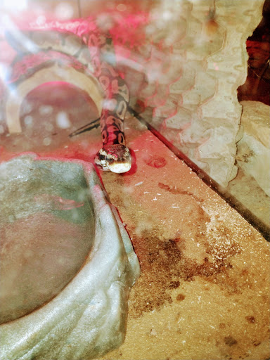 Pet Store «Red Hill Pet Center», reviews and photos, 1566 4th St, San Rafael, CA 94901, USA