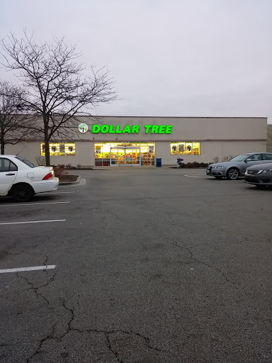 Dollar Store «Dollar Tree», reviews and photos, 7001 Cermak Rd, Berwyn, IL 60402, USA
