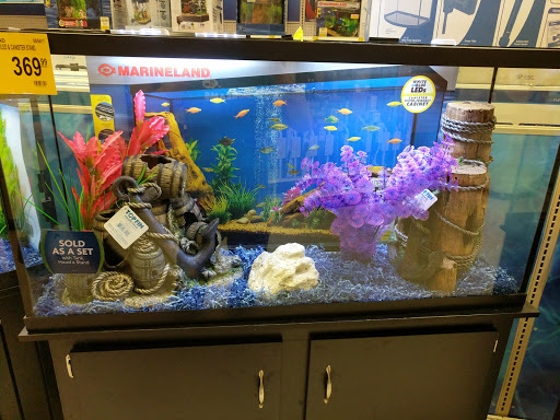 Pet Supply Store «PetSmart», reviews and photos, 2840 W Chandler Blvd, Chandler, AZ 85224, USA