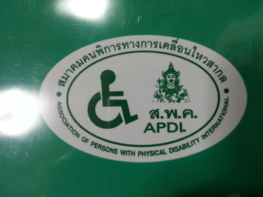 Association of Persons with Physical Disability International