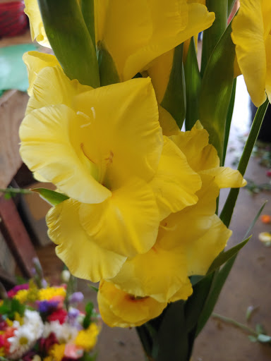 Florist «Flower Peddler», reviews and photos, 38350 Garfield Rd, Charter Twp of Clinton, MI 48038, USA