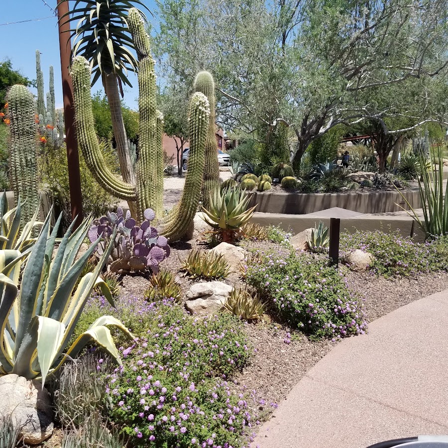 Carefree Desert Gardens