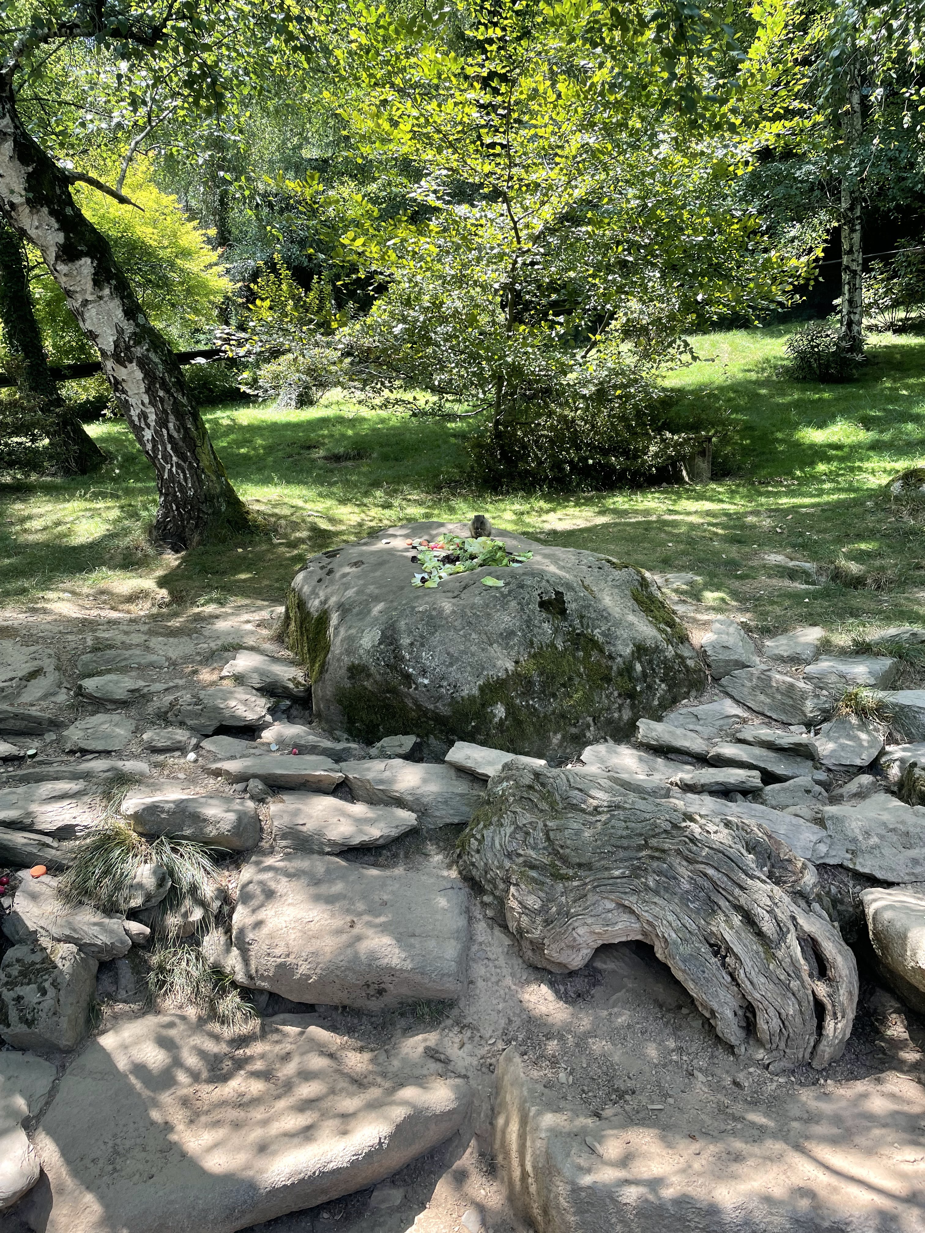 Photo n° 39 de l'avis de Gregory.G fait le 01/08/2022 à 10:31