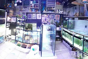 aquarium.MX image