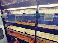 Ramirez Pet Shop - Photo 6 - Car repair in Los Angeles, CA, Los Angeles