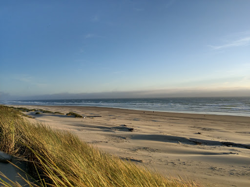 Title Company «WFG National Title - Clackamas», reviews and photos