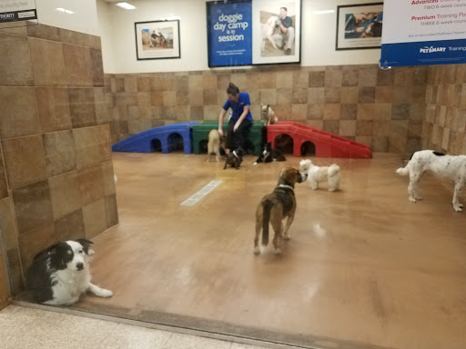 Pet Supply Store «PetSmart», reviews and photos, 5722 Fairmont Pkwy, Pasadena, TX 77505, USA
