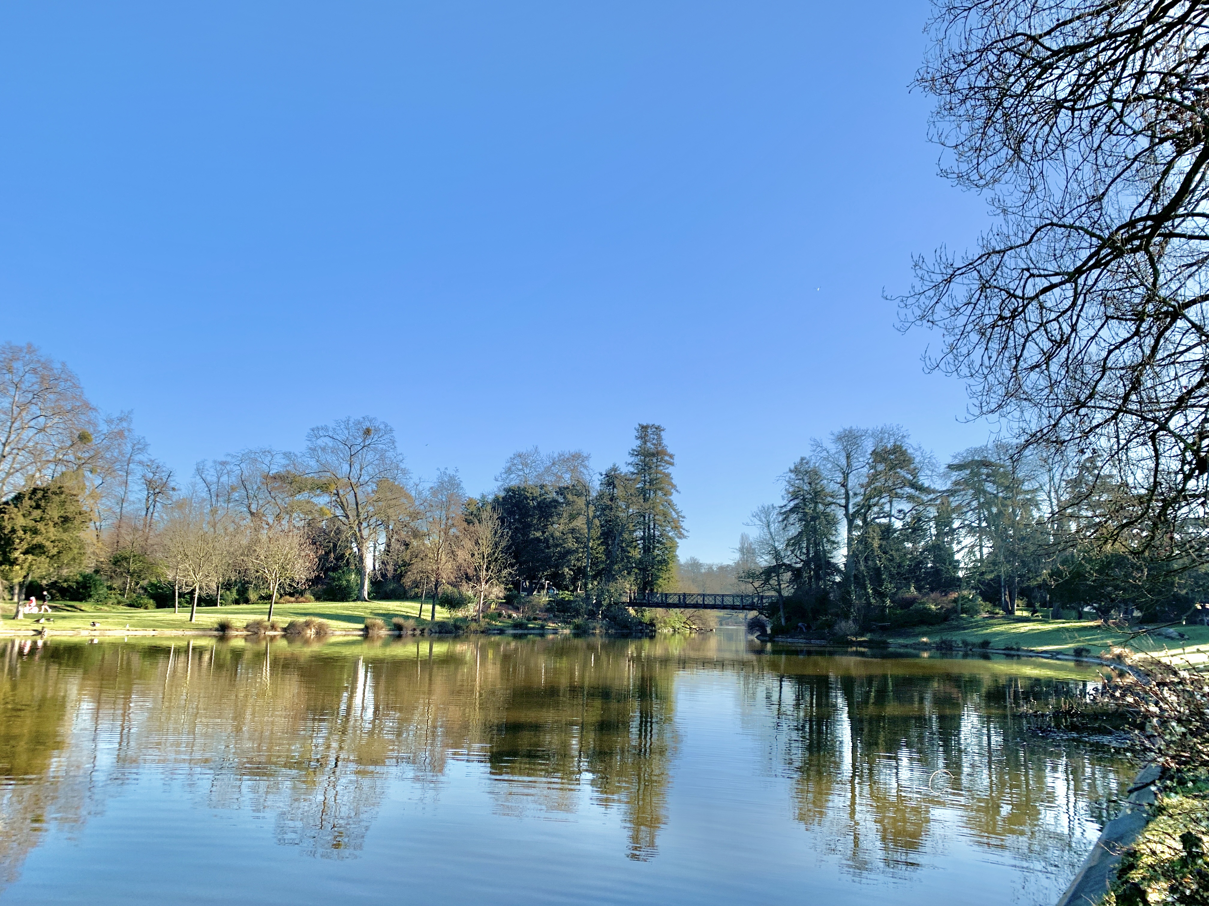 Photo n° 34 de l'avis de Agnès. fait le 10/02/2022 à 08:51