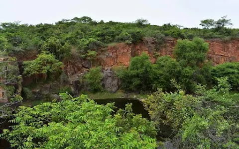 Nanmangalam Reserve Forest image