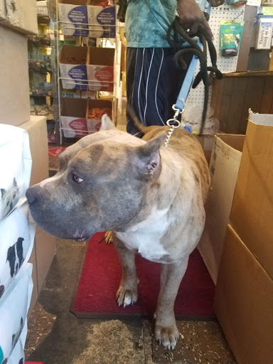 Pet Supply Store «Blue Parkway Bait & Pet Supplies», reviews and photos, 6921 Blue Pkwy, Kansas City, MO 64129, USA