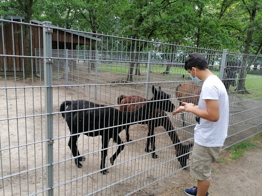 Zabakuck Zoo unter Zabakuck, 