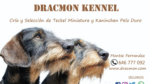 Criadores caninos Alicante