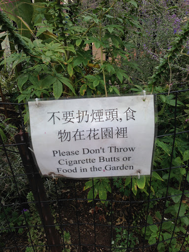 Park «Columbus Park», reviews and photos, 67 Mulberry St, New York, NY 10013, USA