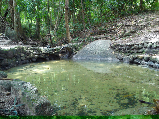 Area Recreativa Las Cocuizas, Parque Nacional Henri Pittier