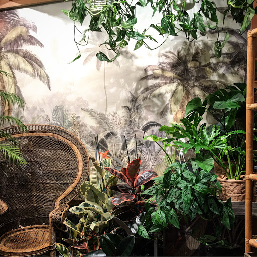 Paraso Plant Studio image