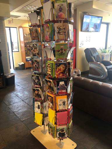 Car Wash «Desert Autos Carwash», reviews and photos, 8002 E Thomas Rd, Scottsdale, AZ 85251, USA