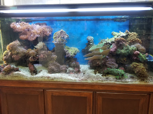 Tropical Fish Store «Aquarium World», reviews and photos, 116 S Earl Ave, Lafayette, IN 47904, USA