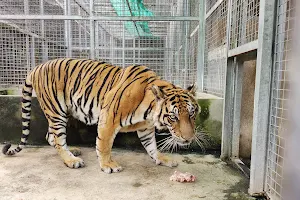 Wildlife Quarantine Center Thailand image