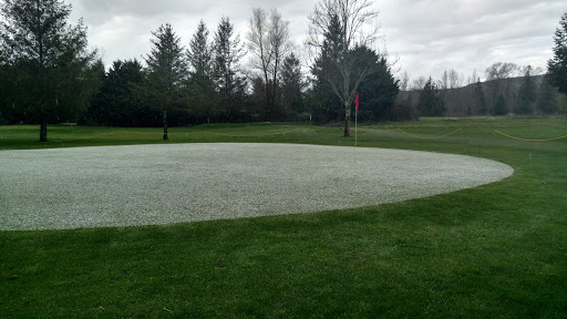 Golf Course «Twin Rivers Golf Course», reviews and photos, 4446 Preston-Fall City Rd SE, Fall City, WA 98024, USA