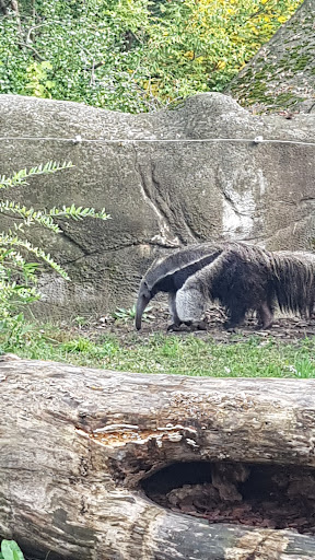 Zoo «Arctic Ring of Life», reviews and photos, 8450 W 10 Mile Rd, Royal Oak, MI 48067, USA