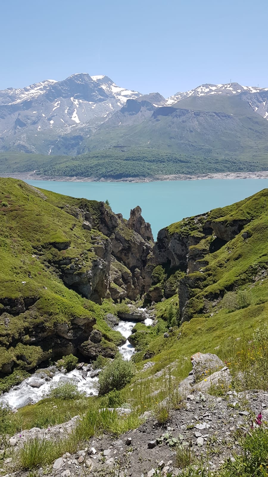 Photo n° 2 de l'avis de Horsti. fait le 24/06/2021 à 13:22