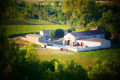 VIRANEL (Vin / Wine) - AOP Saint-Chinian - Languedoc - Rouge Rosé Blanc