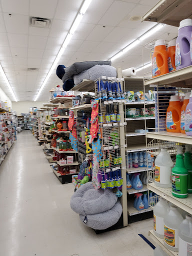 Discount Store «Big Lots», reviews and photos, 10 Newbury St #5, Danvers, MA 01923, USA