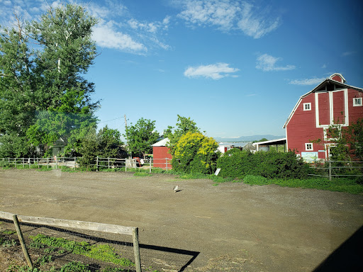 Produce Market «Berry Patch Farms», reviews and photos, 13785 Potomac St, Brighton, CO 80601, USA
