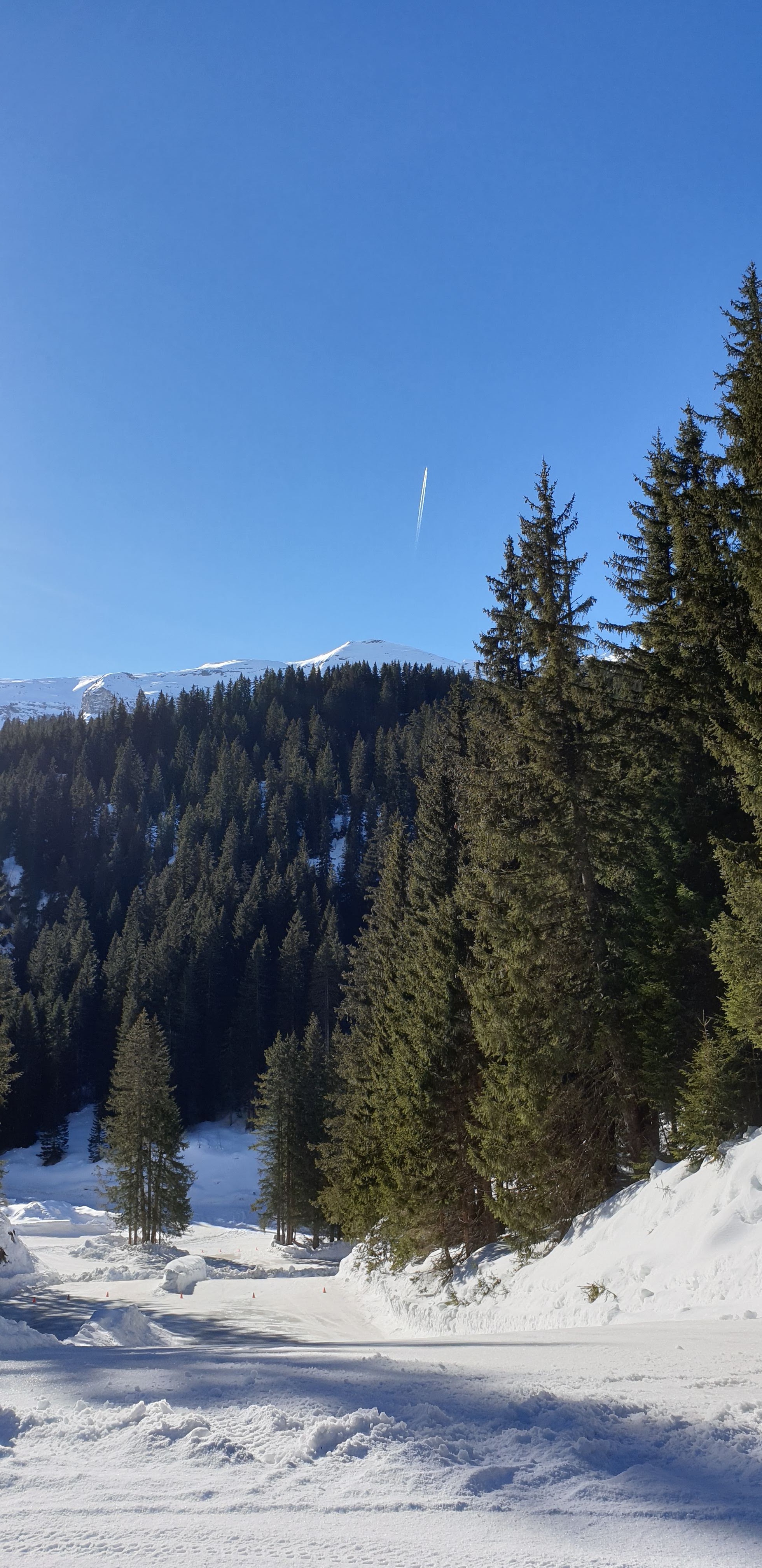 Photo n° 1 de l'avis de Céline.e fait le 12/03/2019 à 21:58