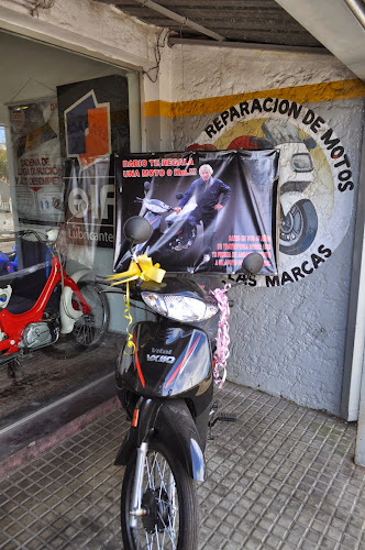 Opiniones de Taller Dario en Maldonado - Tienda de motocicletas