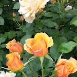 Photo n°1 de l'avis de Klaus.r fait le 09/06/2018 à 09:19 sur le  Hotel Astoria - Alexandra Krämer e.K. à Bad Füssing