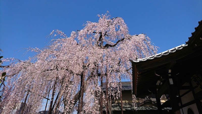 高楽寺