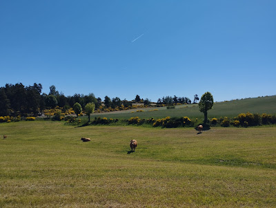 GR 65 Aubrac-Saint Chély à Saint-Chély-d'Aubrac