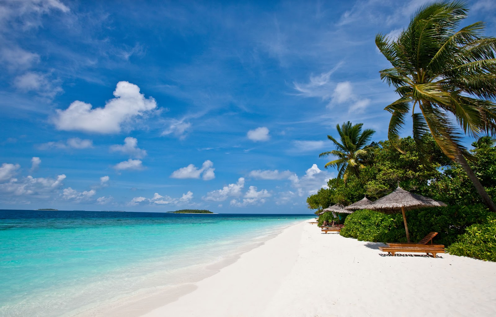 Foto von Strand der Insel Fonimagoodhoo mit feiner weißer sand Oberfläche