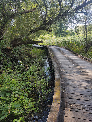 Public Golf Course «Myth Golf & Banquets», reviews and photos, 850 Stoney Creek Rd, Oakland Charter Township, MI 48363, USA
