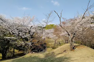 Ashikaga Park image